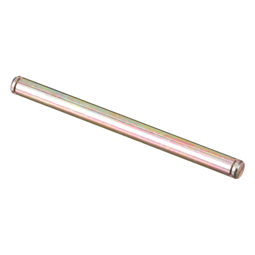 391843A1 - OEM PIN HINGE-LONG - CASE CONSTRUCTION
