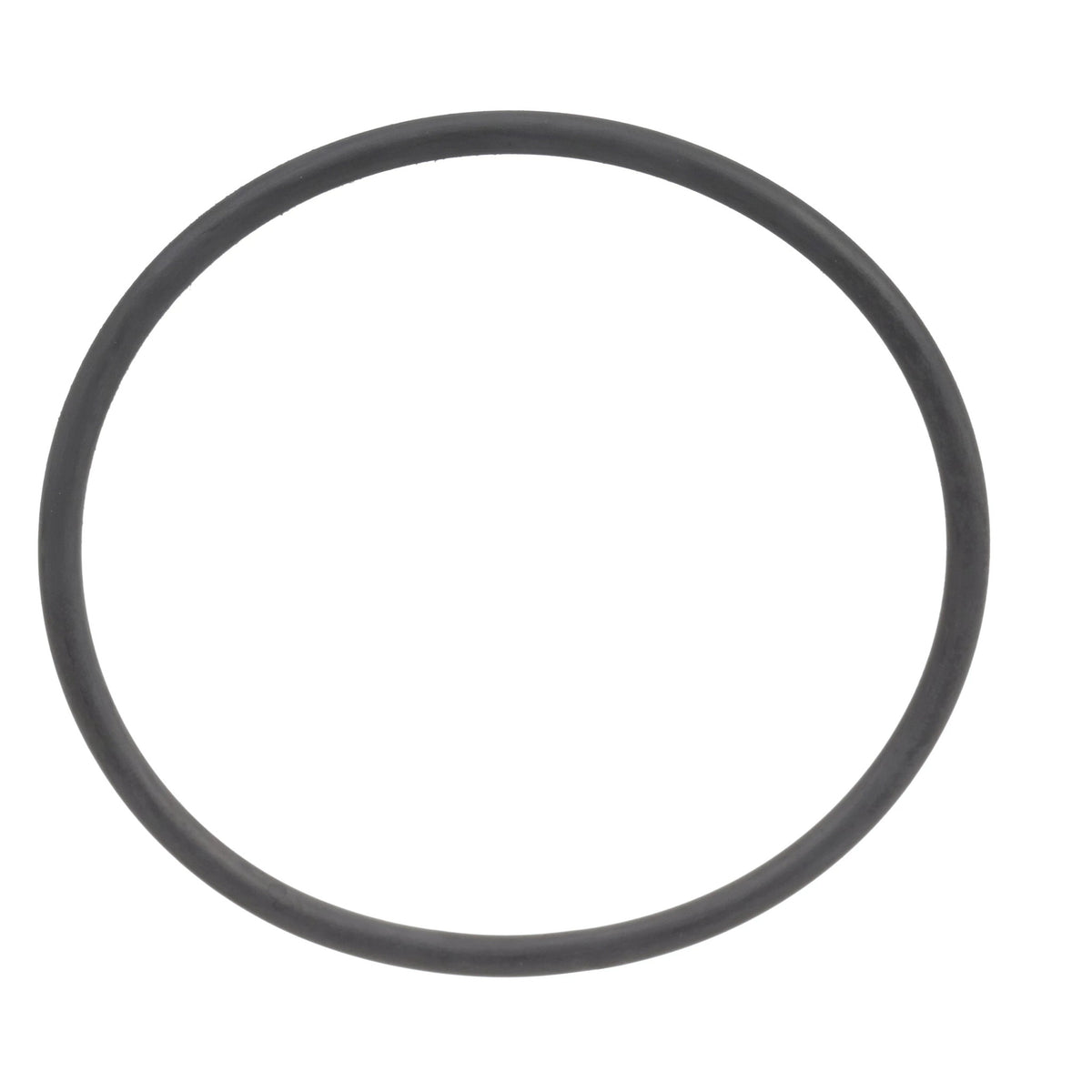 399907R1 - OEM O-RING - CASE CONSTRUCTION