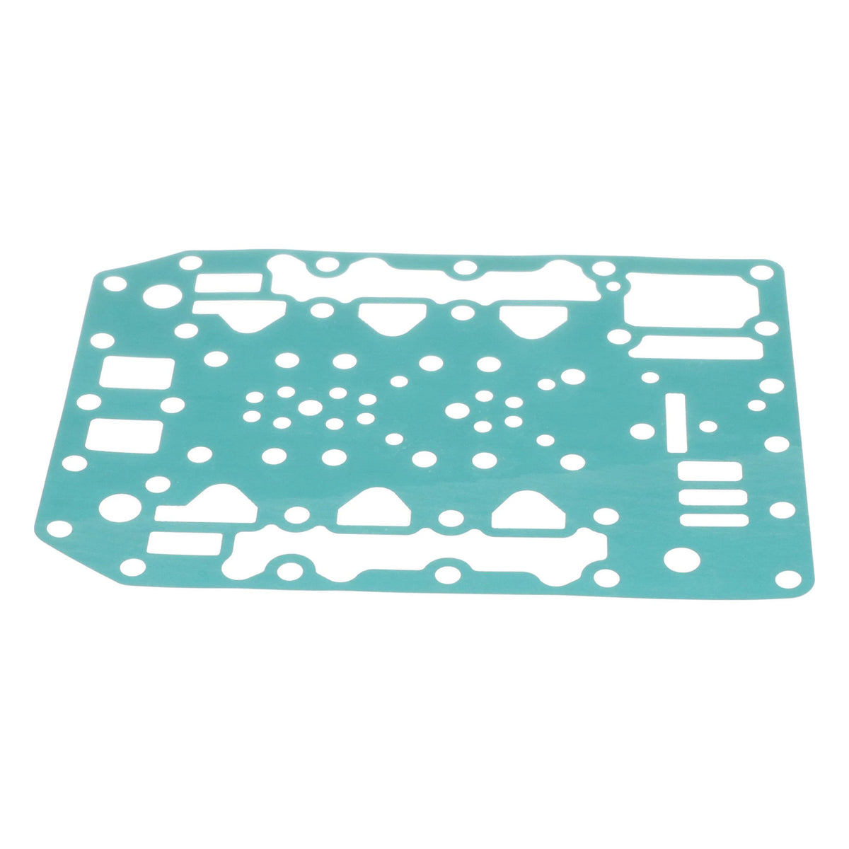 404688A1 - OEM GASKET - CASE CONSTRUCTION