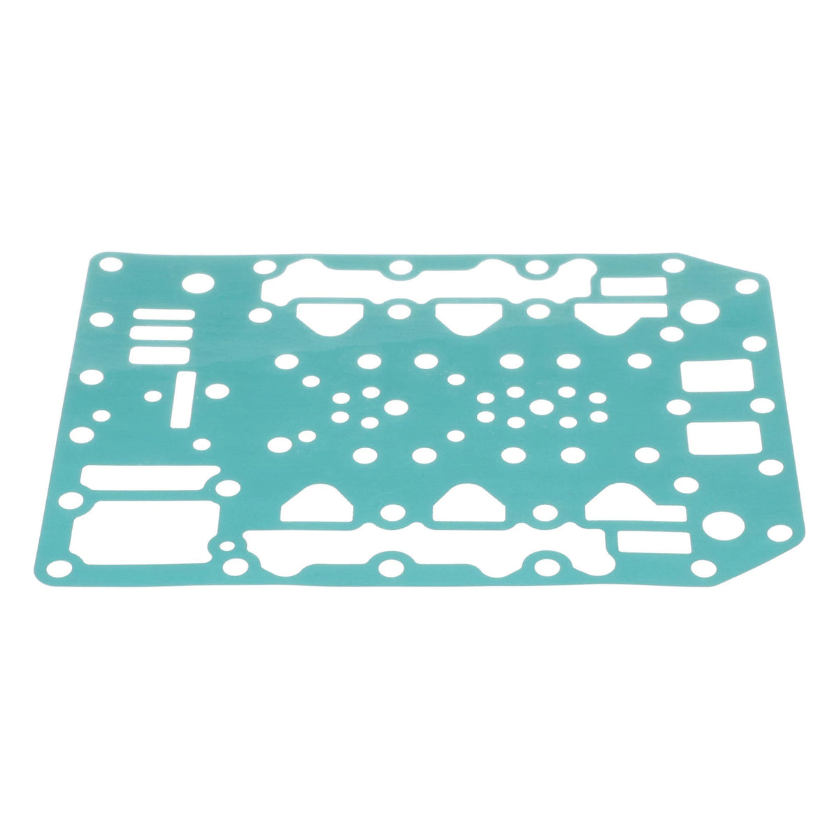 404688A1 - OEM GASKET - CASE CONSTRUCTION