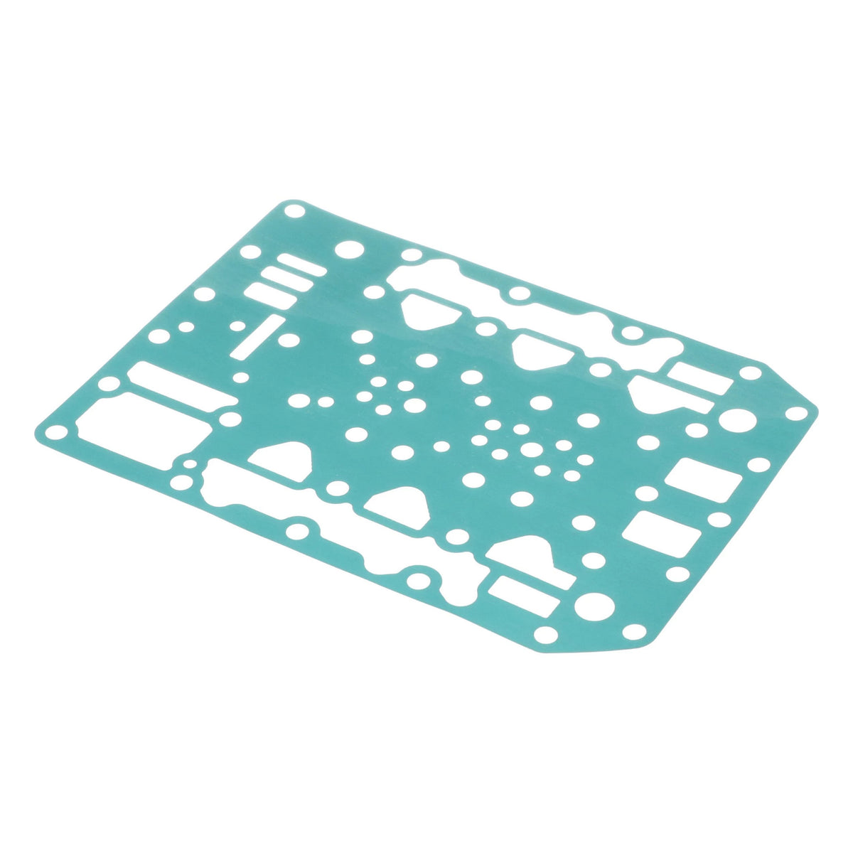 404688A1 - OEM GASKET - CASE CONSTRUCTION