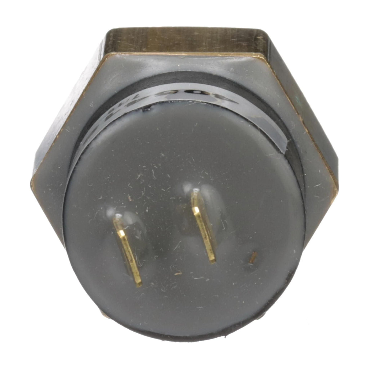 405418A1 - OEM BACK-UP PRESSURE SWITCH - CASE CONSTRUCTION