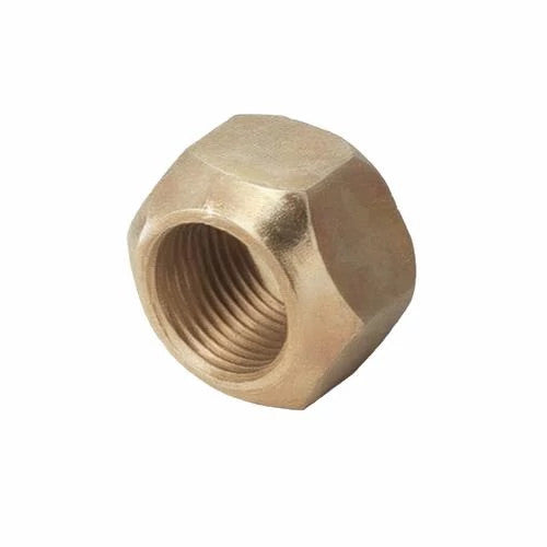 405576R1 - OEM NUT - CASE CONSTRUCTION