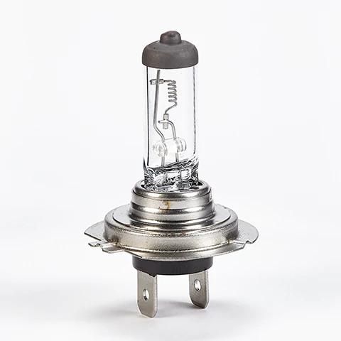 410941A1 - OEM BULB - CASE CONSTRUCTION