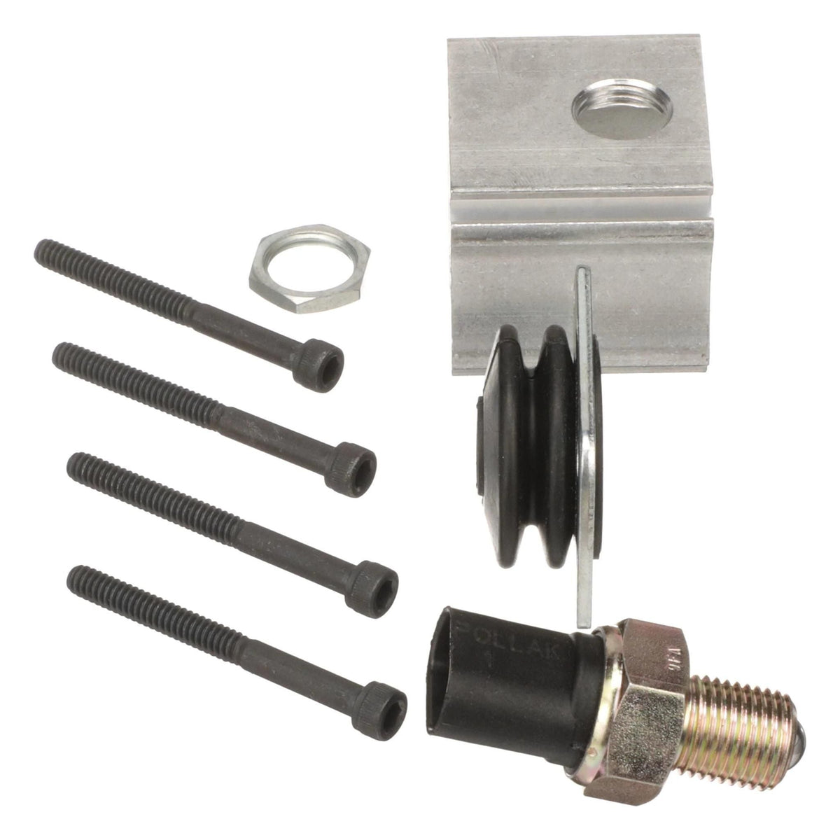 419347A1 - OEM HYDRAULIC PUMPS KIT BLACK - CASE CONSTRUCTION