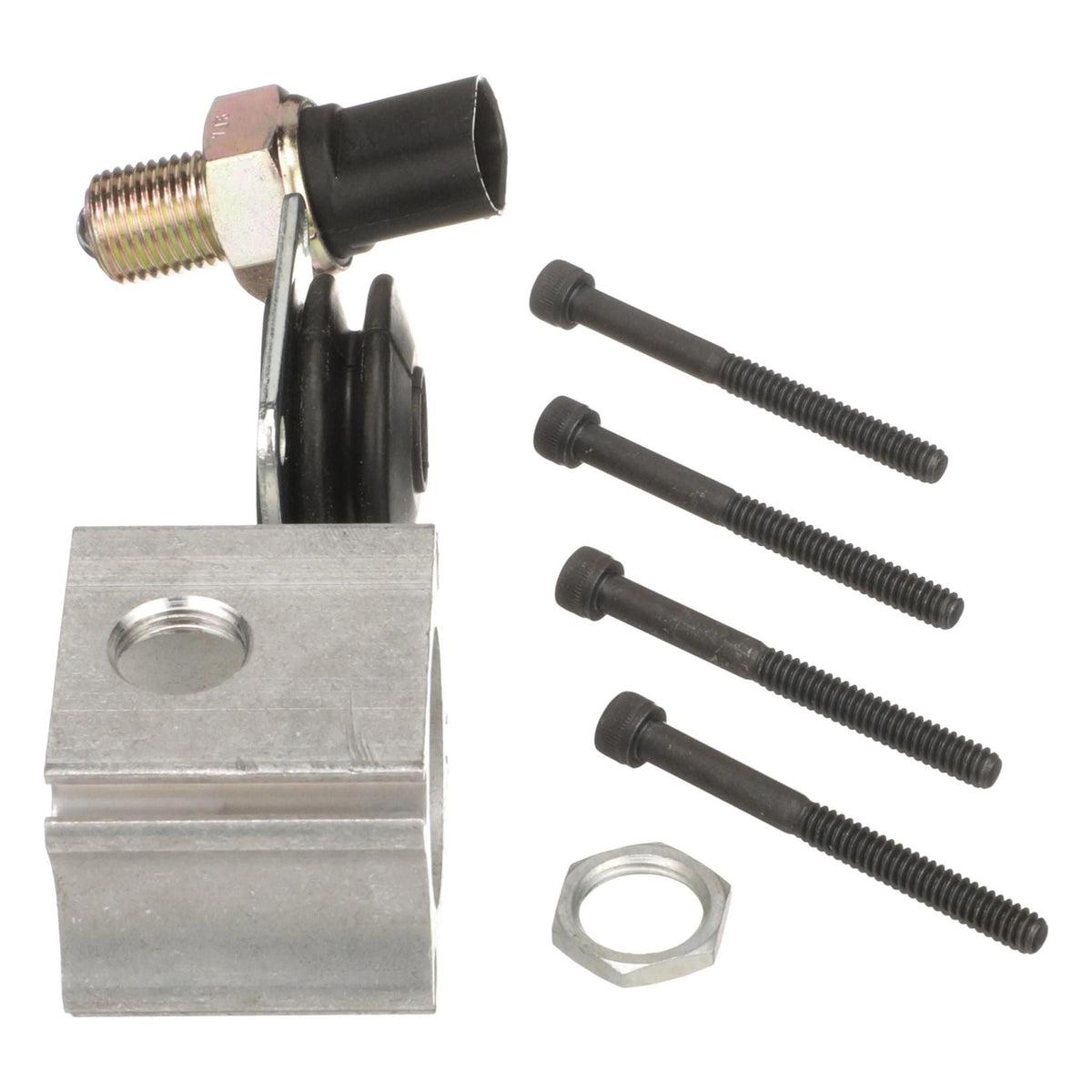 419347A1 - OEM HYDRAULIC PUMPS KIT BLACK - CASE CONSTRUCTION