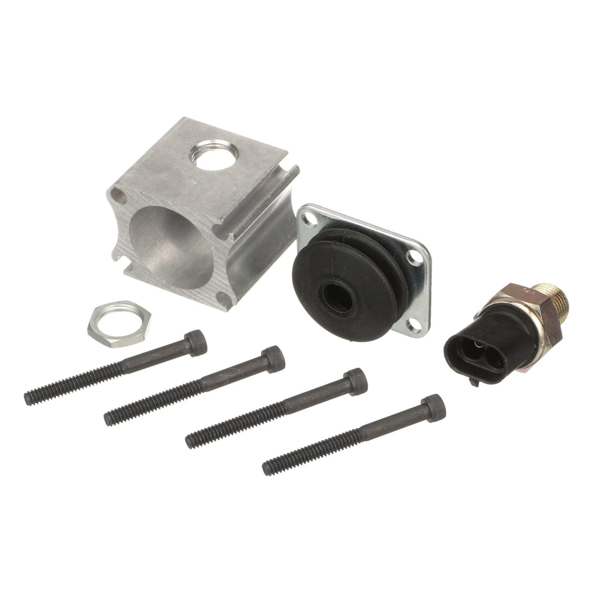 419347A1 - OEM HYDRAULIC PUMPS KIT BLACK - CASE CONSTRUCTION