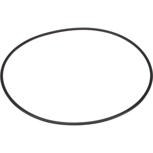 446179A1 - OEM SEAL RING BACK-UP - CASE CONSTRUCTION