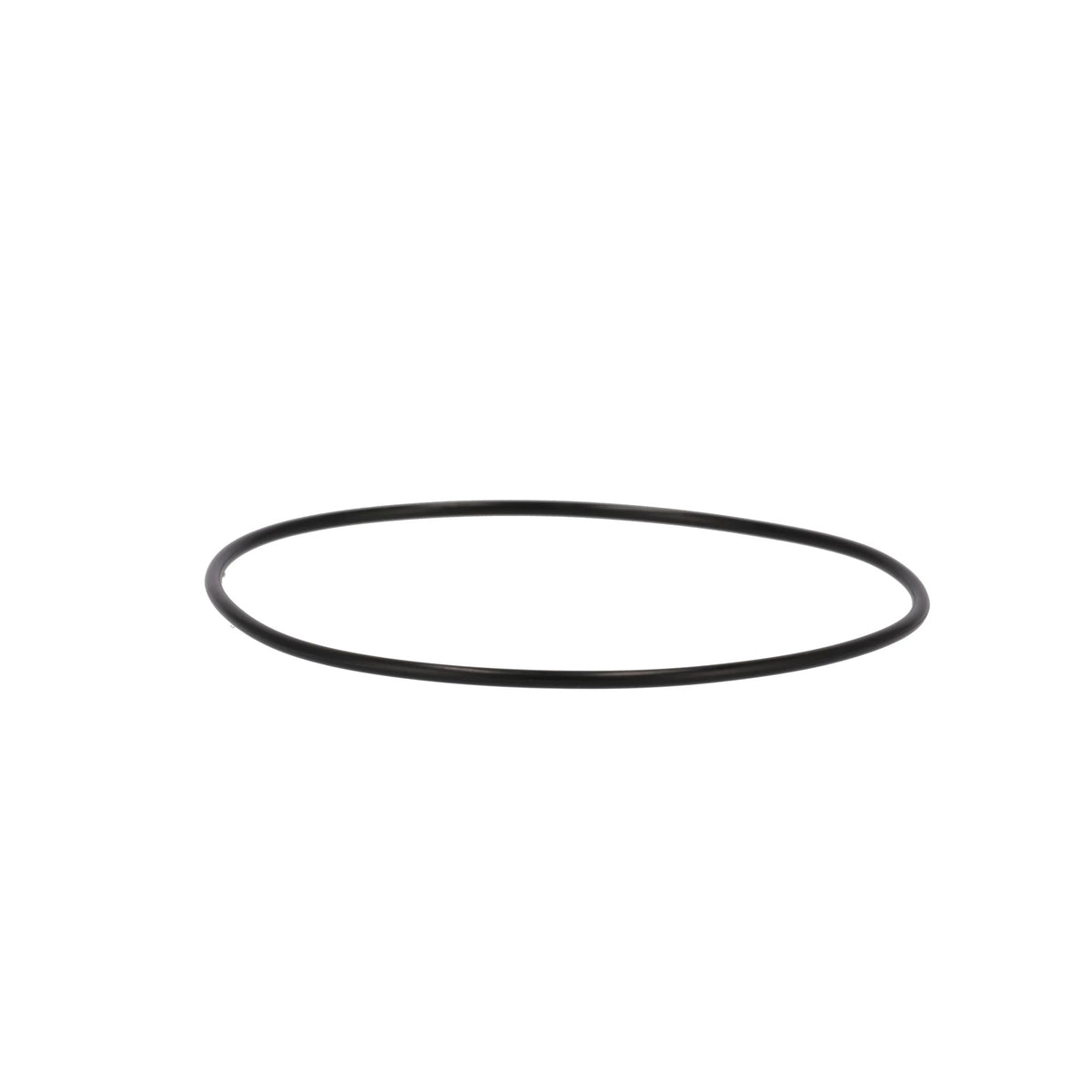 47728955 - OEM O-RING - CASE CONSTRUCTION
