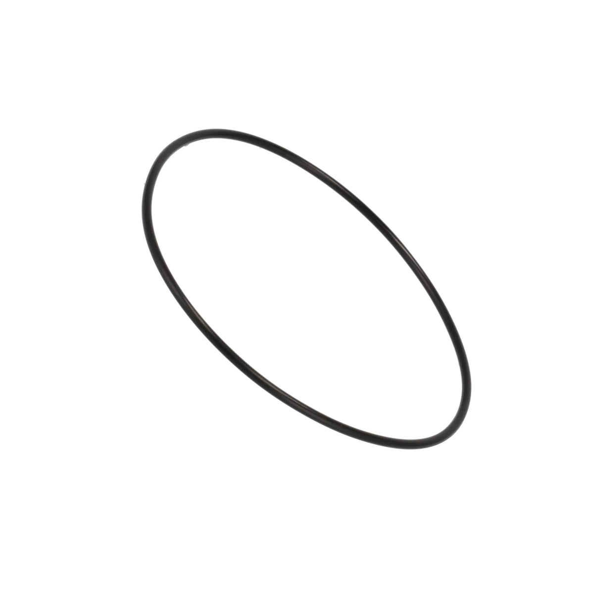 47728955 - OEM O-RING - CASE CONSTRUCTION