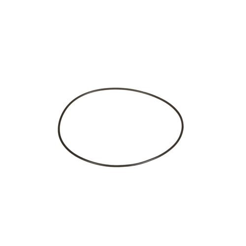 48053634 - OEM O-RING - CASE CONSTRUCTION