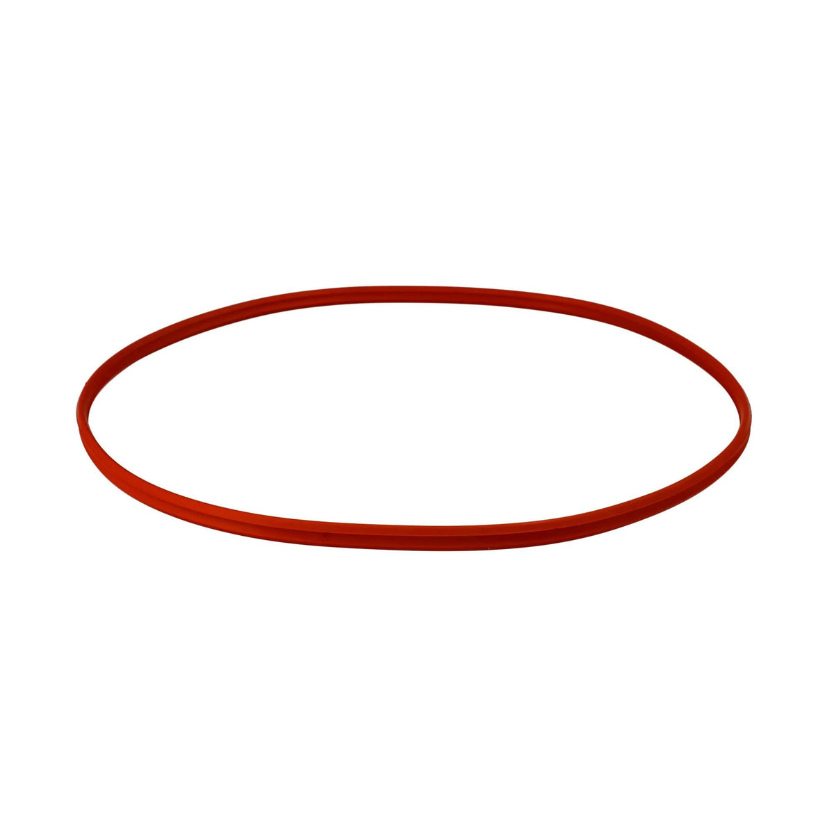 4845136 - OEM SEAL - CASE CONSTRUCTION