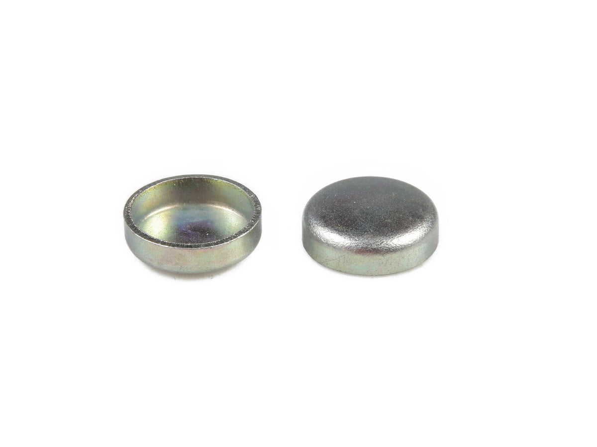 4895039 - OEM PLUG EXPANSION - CASE CONSTRUCTION