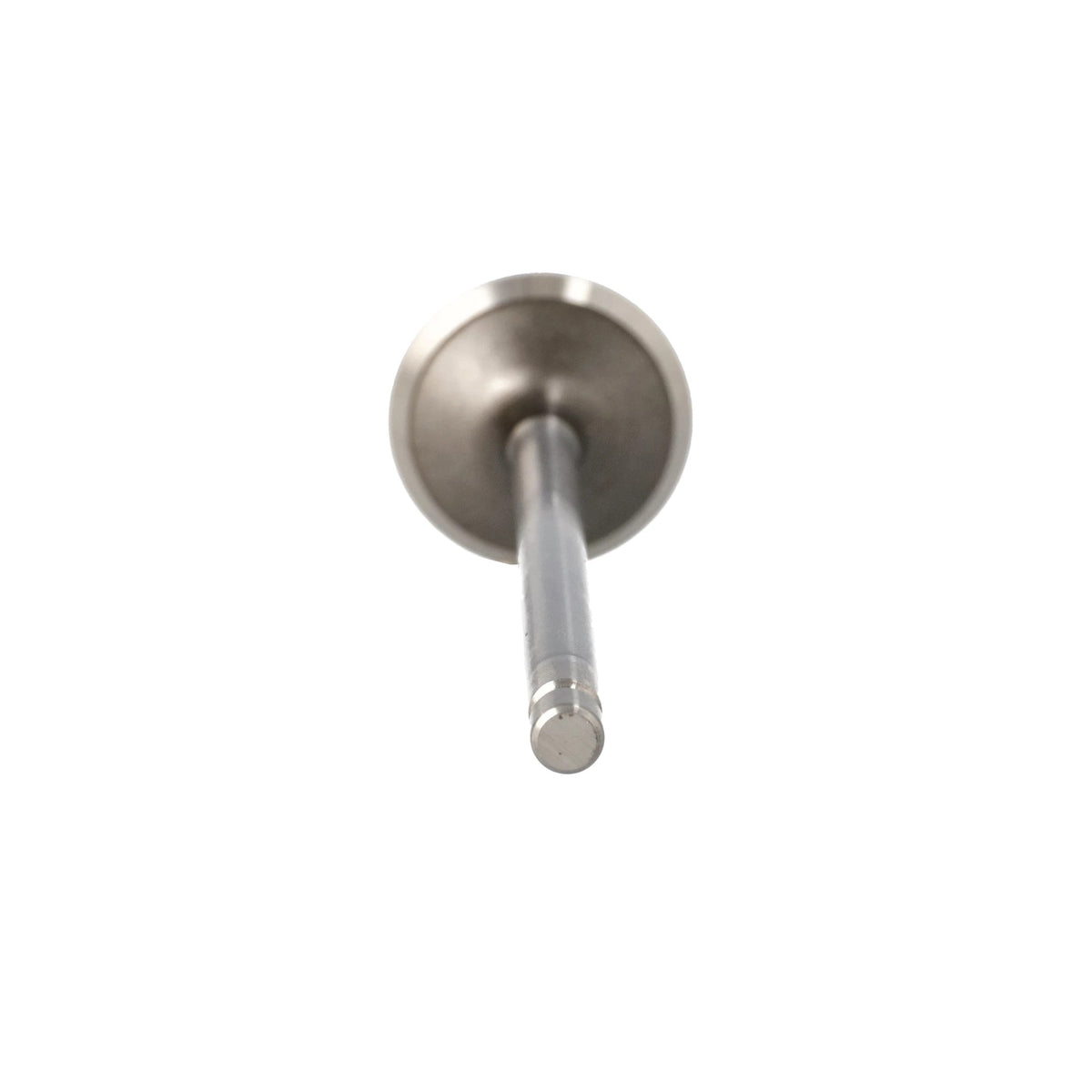 4895051 - OEM STD EXHAUST VALVE - CASE CONSTRUCTION
