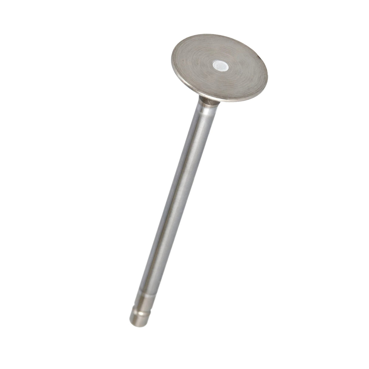 4895051 - OEM STD EXHAUST VALVE - CASE CONSTRUCTION