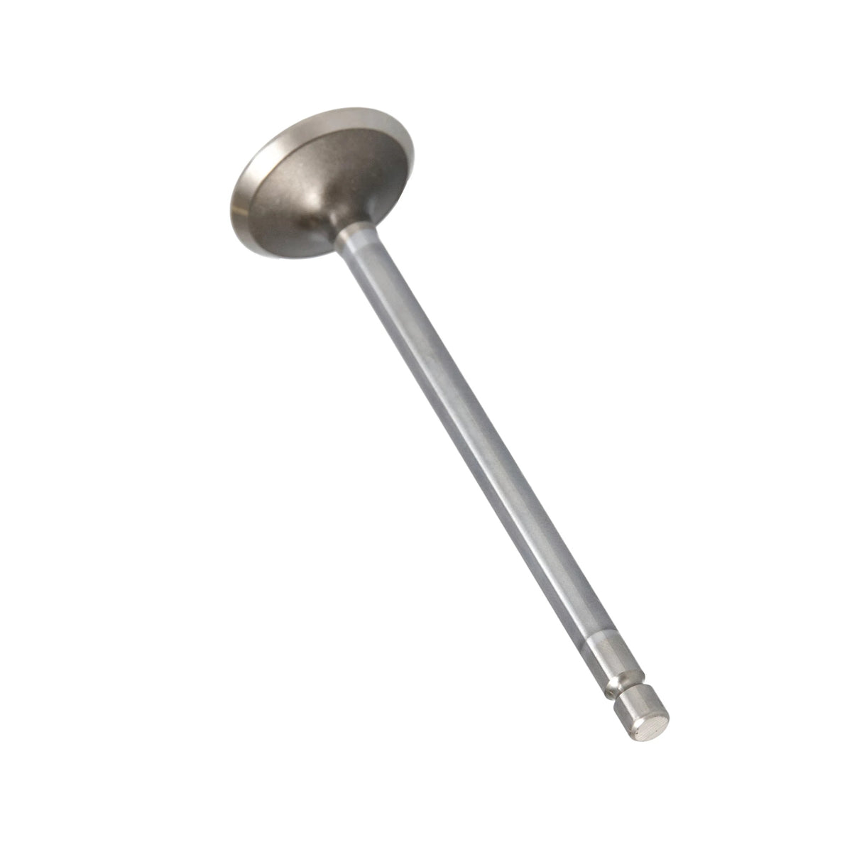 4895051 - OEM STD EXHAUST VALVE - CASE CONSTRUCTION