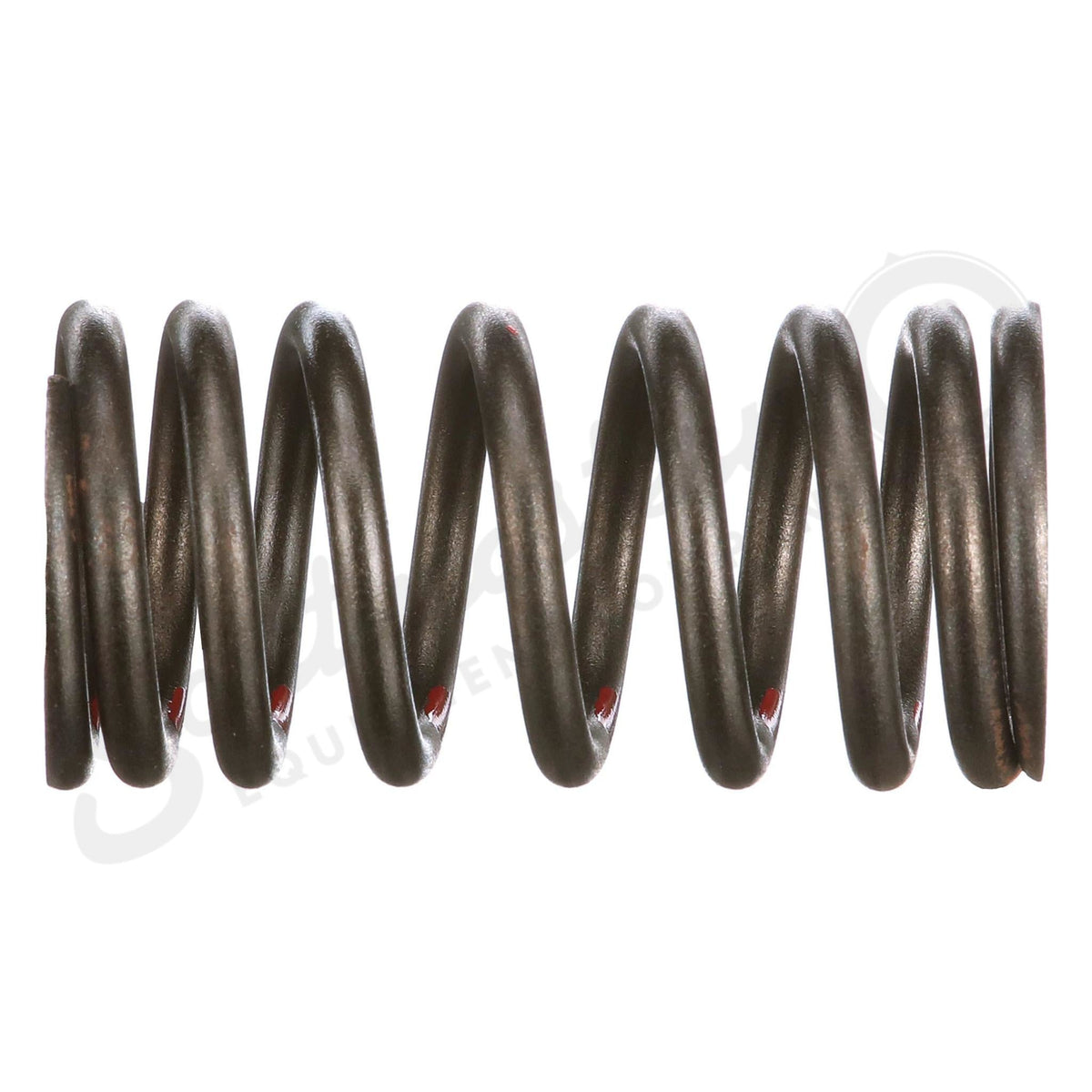 4895215 - OEM VALVE SPRING - CASE CONSTRUCTION