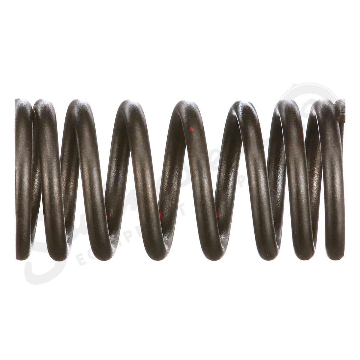 4895215 - OEM VALVE SPRING - CASE CONSTRUCTION