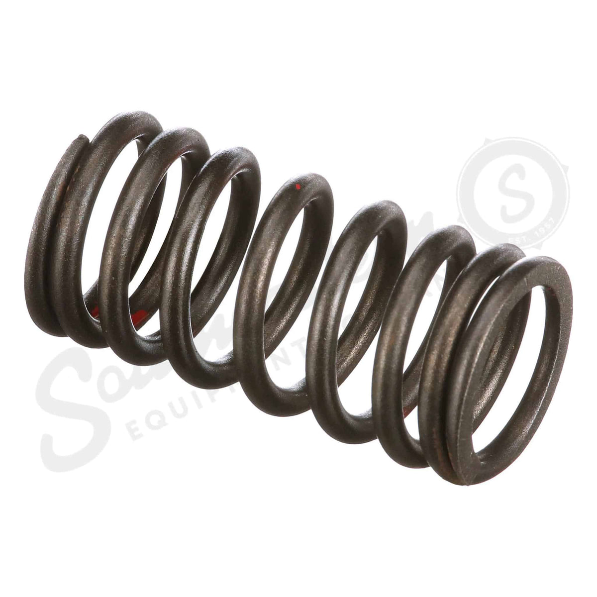 4895215 - OEM VALVE SPRING - CASE CONSTRUCTION