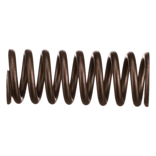 504125776 - OEM VALVE SPRING - CASE CONSTRUCTION