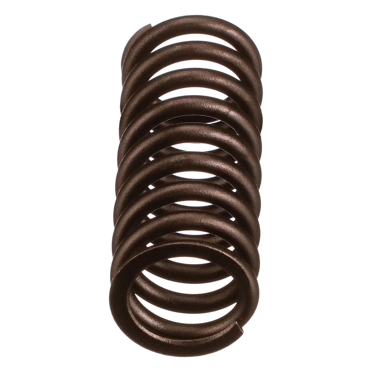 504125776 - OEM VALVE SPRING - CASE CONSTRUCTION