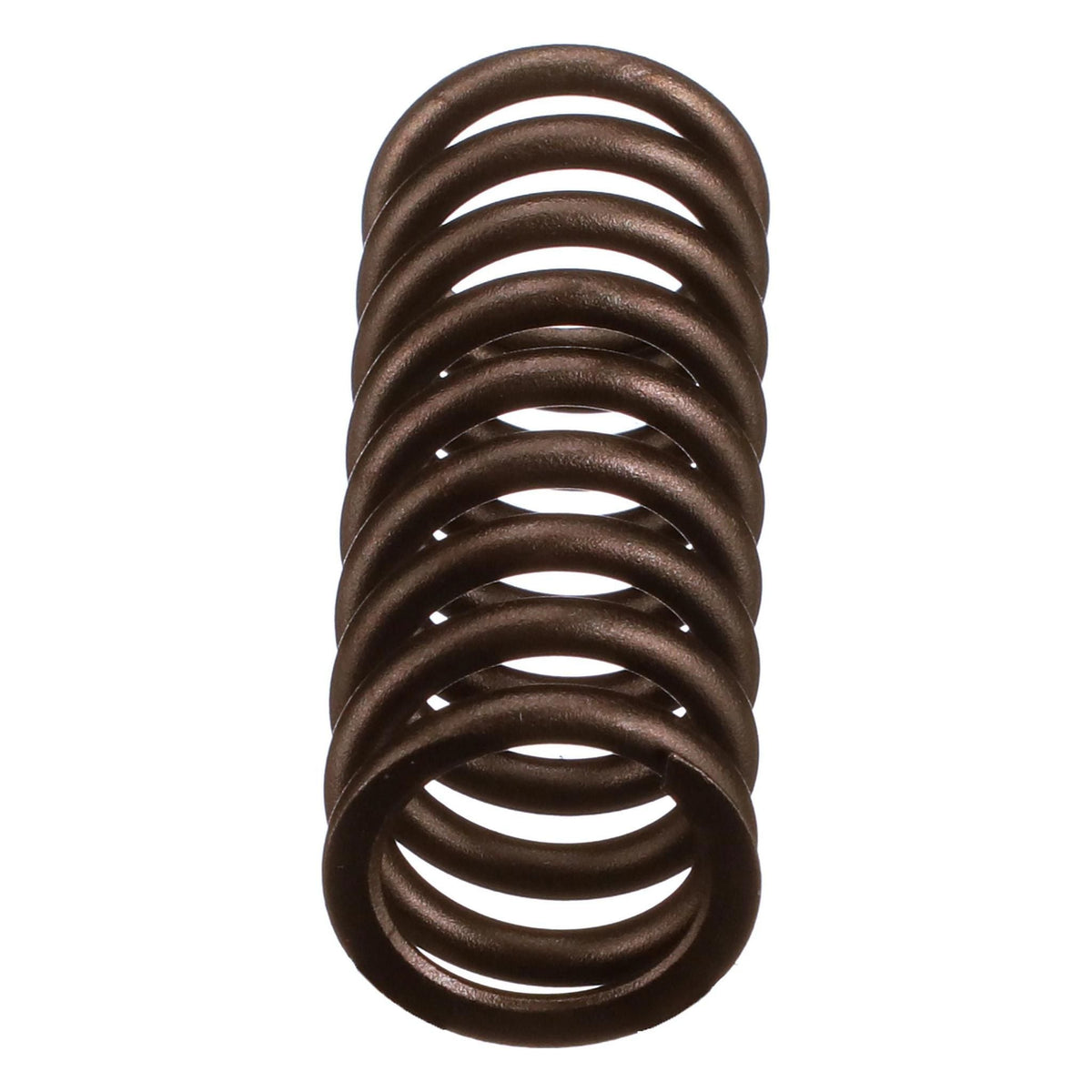 504125776 - OEM VALVE SPRING - CASE CONSTRUCTION