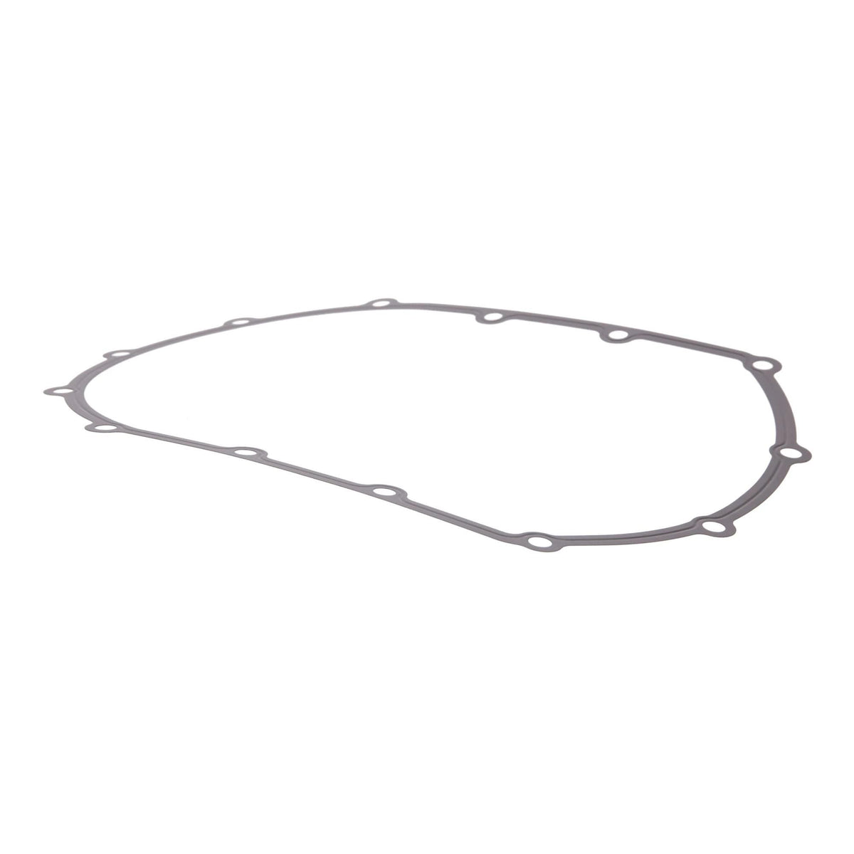 504290773 - OEM GASKET - CASE CONSTRUCTION