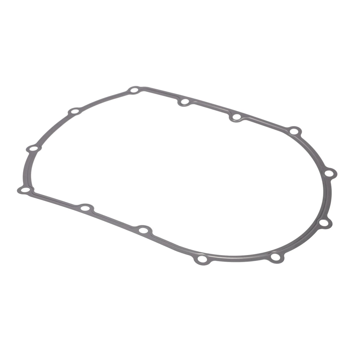 504290773 - OEM GASKET - CASE CONSTRUCTION