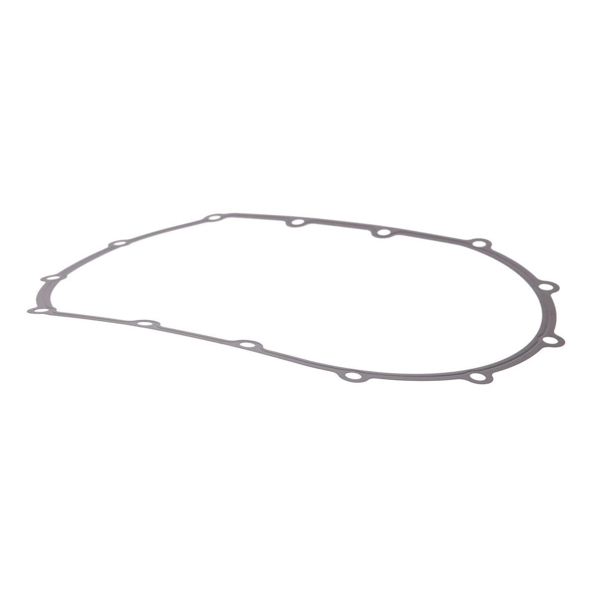 504290773 - OEM GASKET - CASE CONSTRUCTION