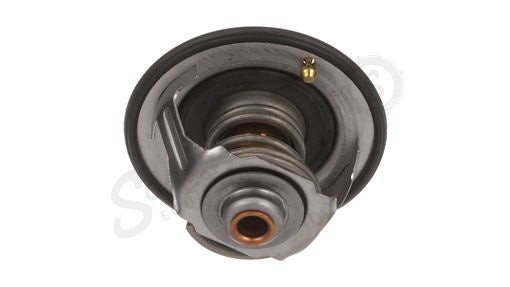 504384724 - OEM THERMOSTAT - CASE CONSTRUCTION
