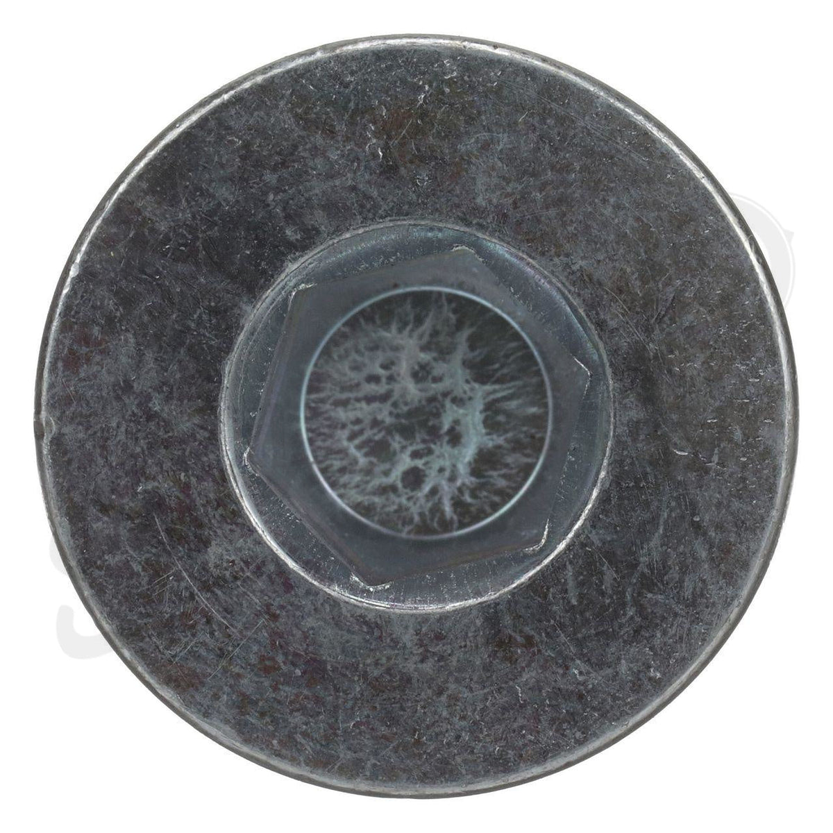 51556973 - OEM PLUG - CASE CONSTRUCTION