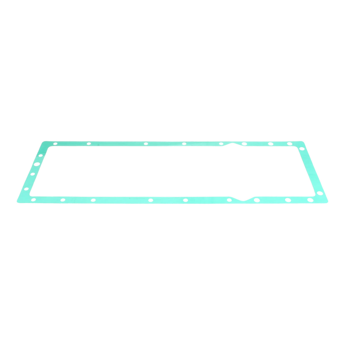 538649R93 - OEM GASKET - CASE CONSTRUCTION