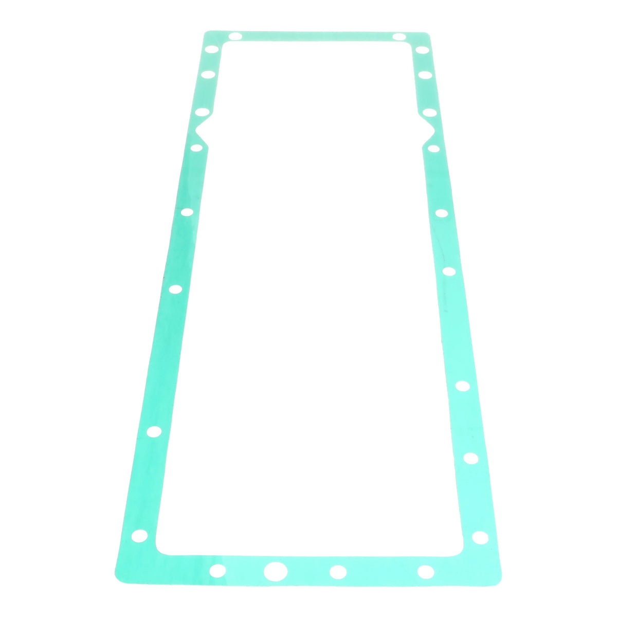 538649R93 - OEM GASKET - CASE CONSTRUCTION