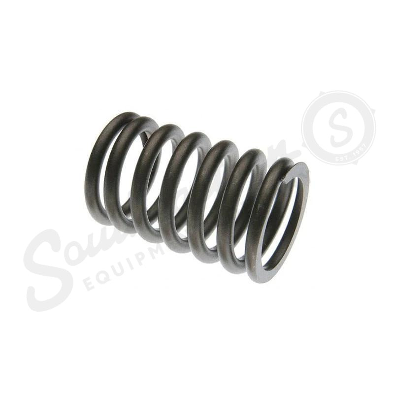 5A66444X - OEM VALVE SPRING - CASE CONSTRUCTION