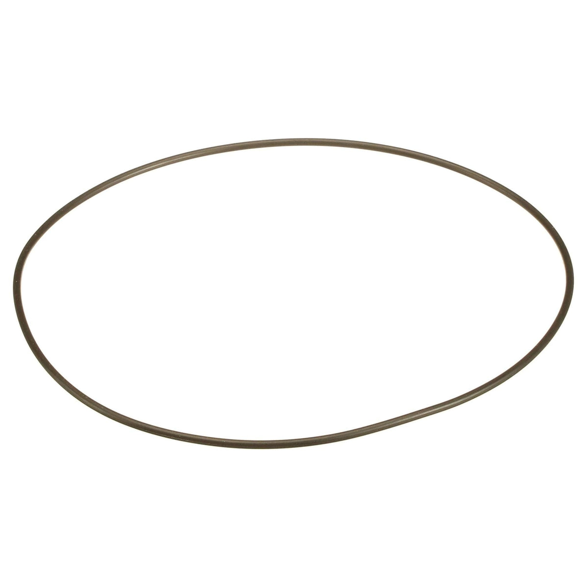 70925421 - OEM O-RING - CASE CONSTRUCTION