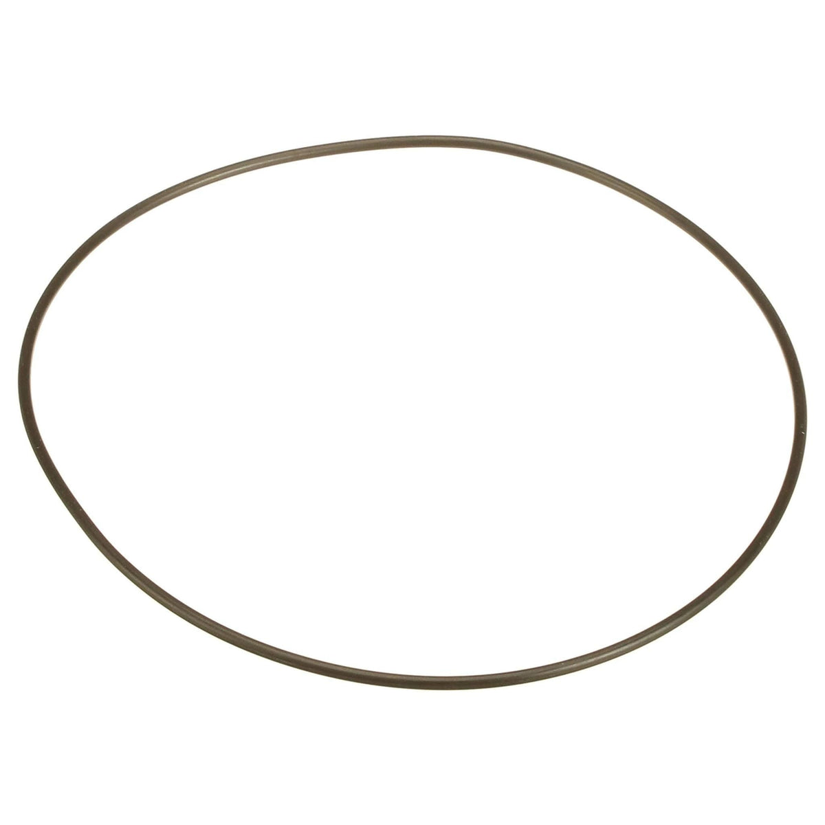 70925421 - OEM O-RING - CASE CONSTRUCTION