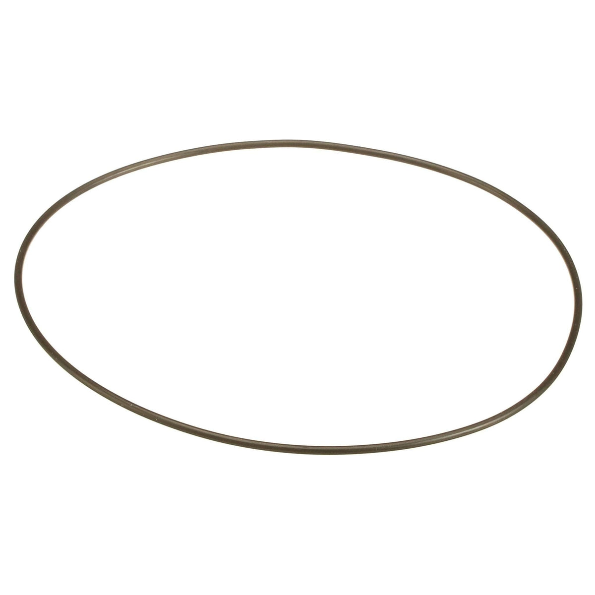 70925421 - OEM O-RING - CASE CONSTRUCTION