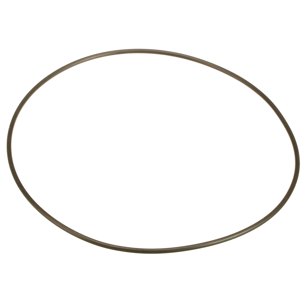 70925421 - OEM O-RING - CASE CONSTRUCTION