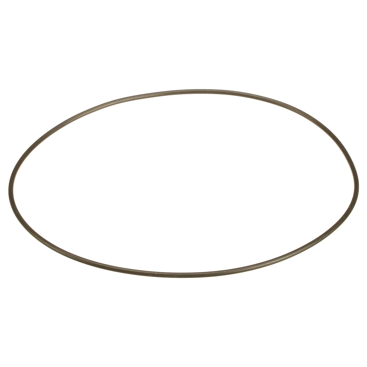 70925421 - OEM O-RING - CASE CONSTRUCTION