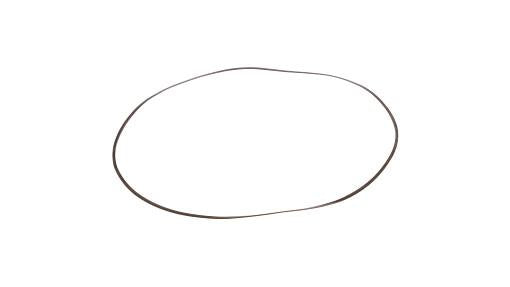 75288922 - OEM RING - CASE CONSTRUCTION