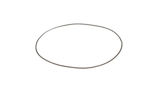 75288922 - OEM RING - CASE CONSTRUCTION