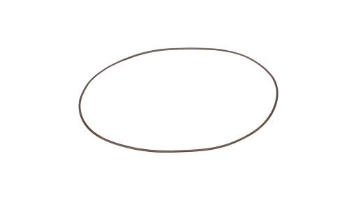75288922 - OEM RING - CASE CONSTRUCTION