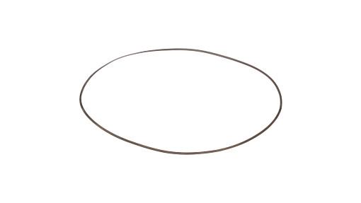75288922 - OEM RING - CASE CONSTRUCTION