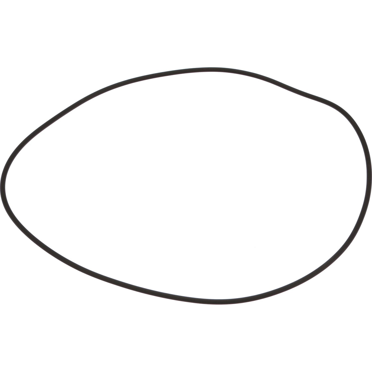 75288923 - OEM O-RING - CASE CONSTRUCTION