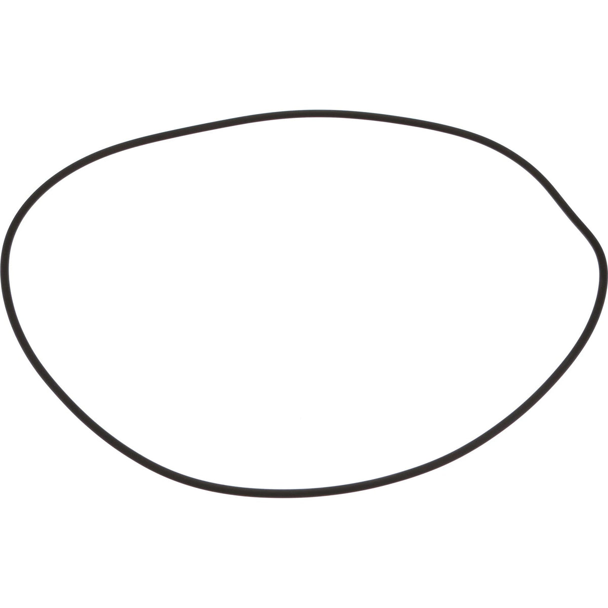 75288923 - OEM O-RING - CASE CONSTRUCTION
