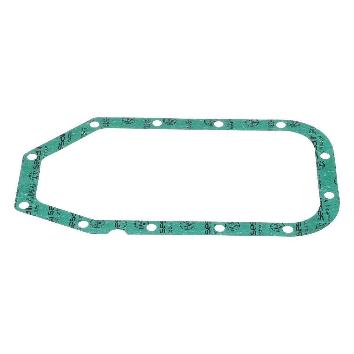 76028089 - OEM ENGINE GASKET - CASE CONSTRUCTION