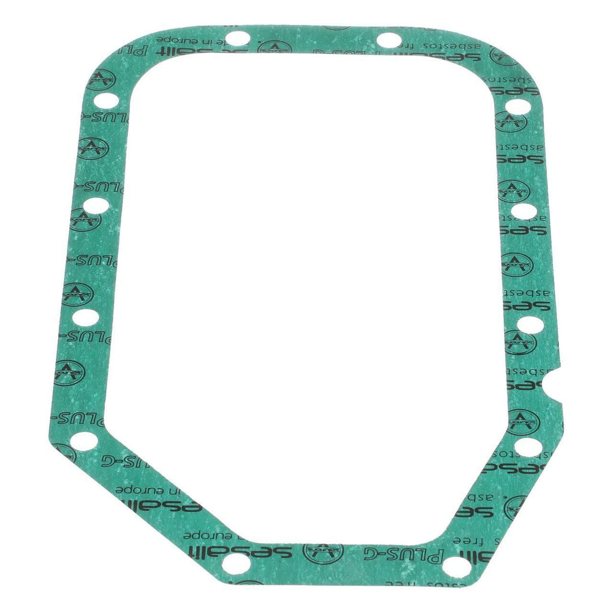 76028089 - OEM ENGINE GASKET - CASE CONSTRUCTION