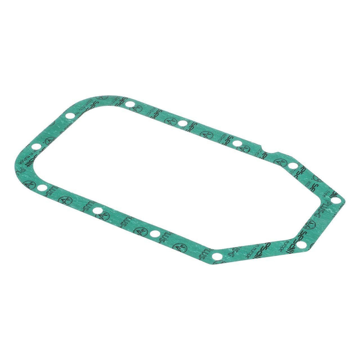 76028089 - OEM ENGINE GASKET - CASE CONSTRUCTION