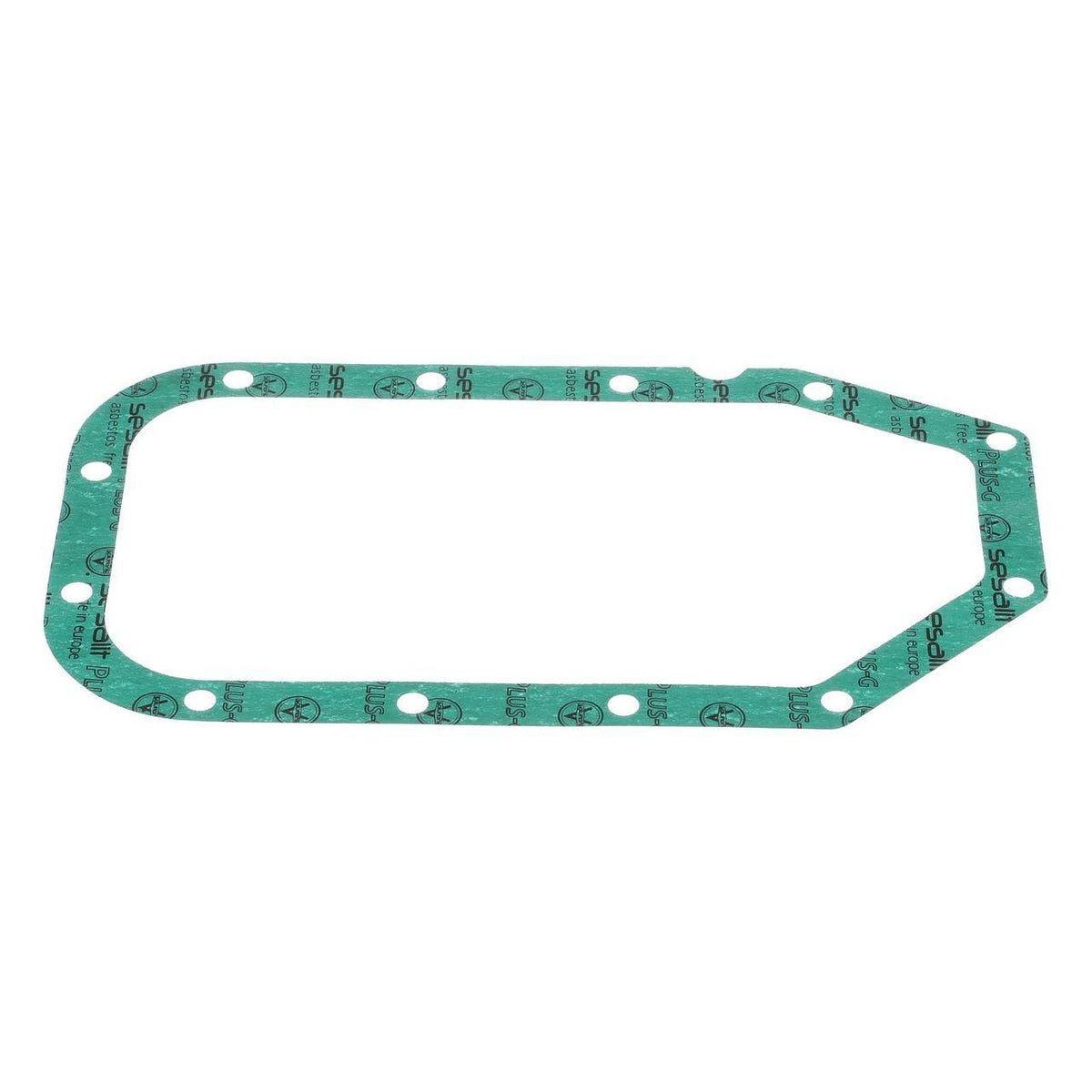 76028089 - OEM ENGINE GASKET - CASE CONSTRUCTION