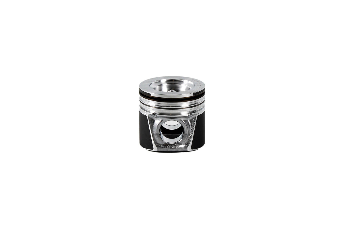 8094854 - OEM KIT PISTON & RINGS - CASE CONSTRUCTION